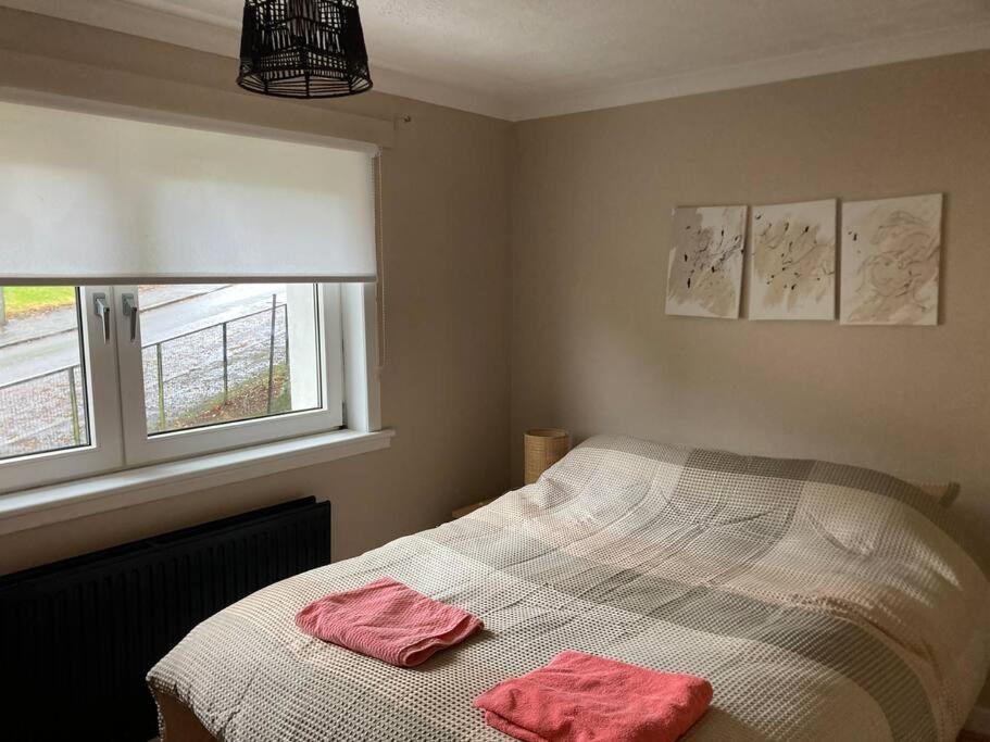 Apartment Monthly/ Weekly Discounts, Lovey Apartment!